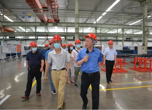 智能化多头联动高速激光落料系统研发及产业化项目顺利通过现场考察